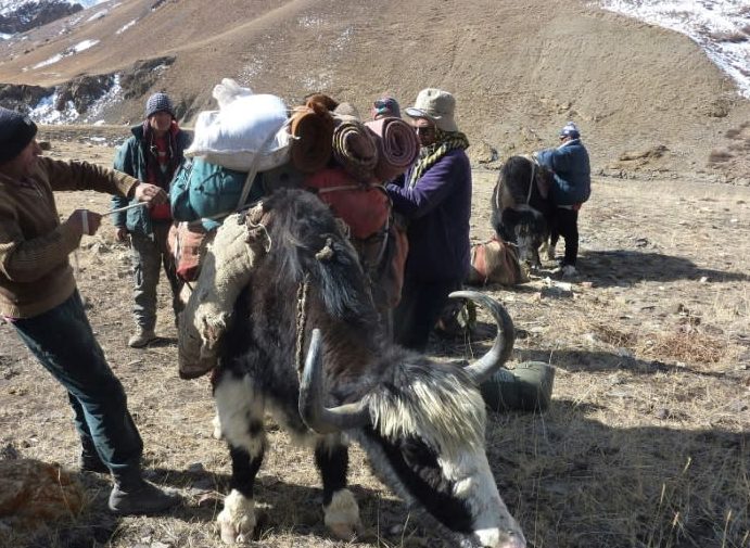 bajral akhwan trading