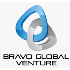bravo global venture m sdn bhd