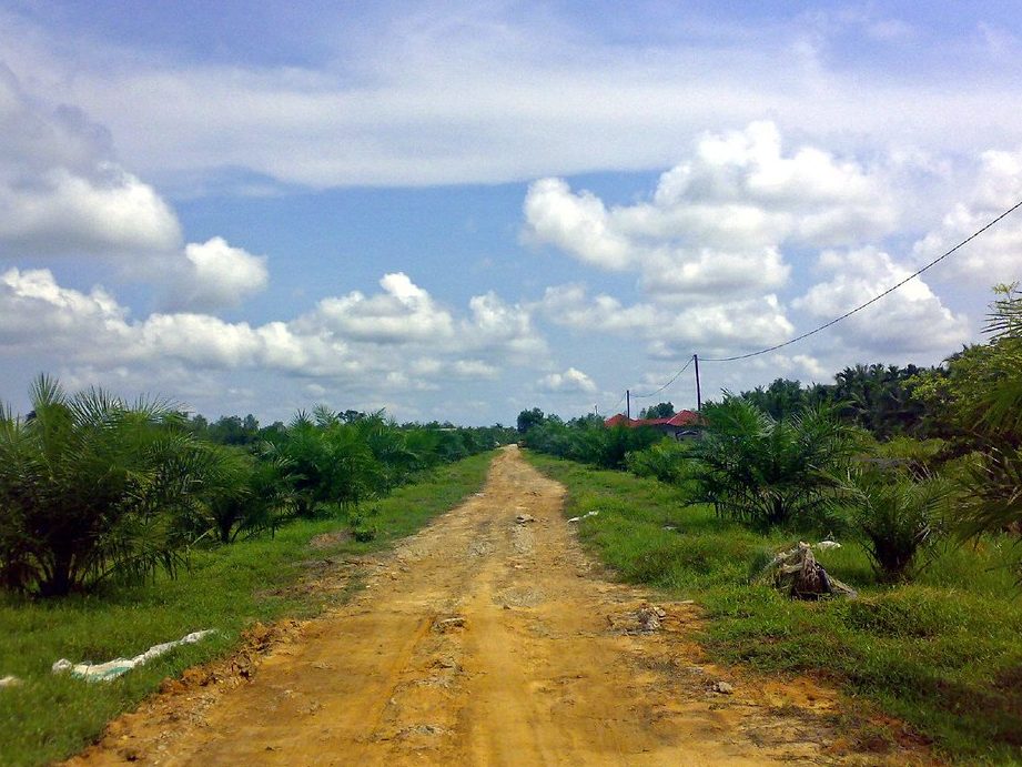 cheerdik jalan kebun