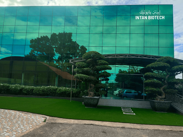 intan industry marketing