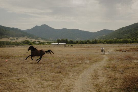 muslim valley