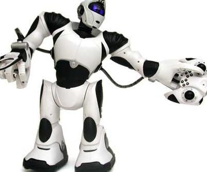 robosapien workforce sdn bhd